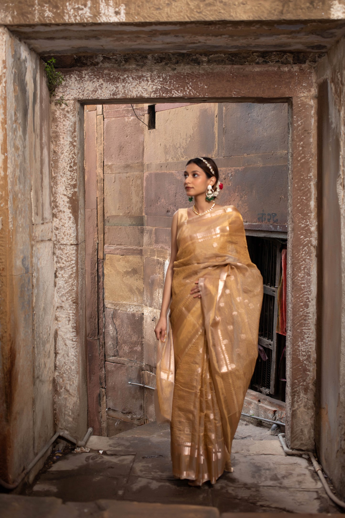 Golden with Booti Banarasi Tissue Silk Saree