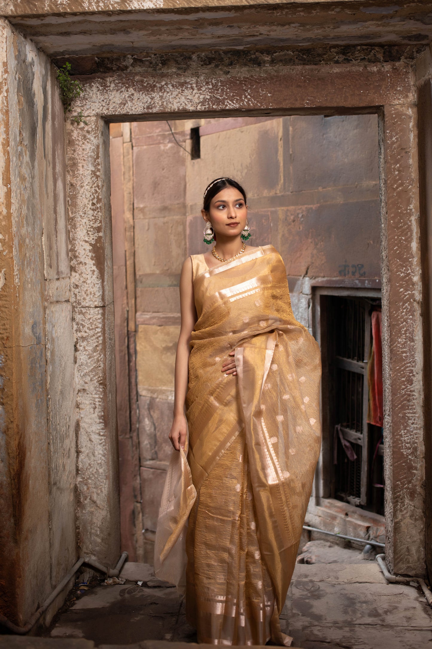 Golden with Booti Banarasi Tissue Silk Saree