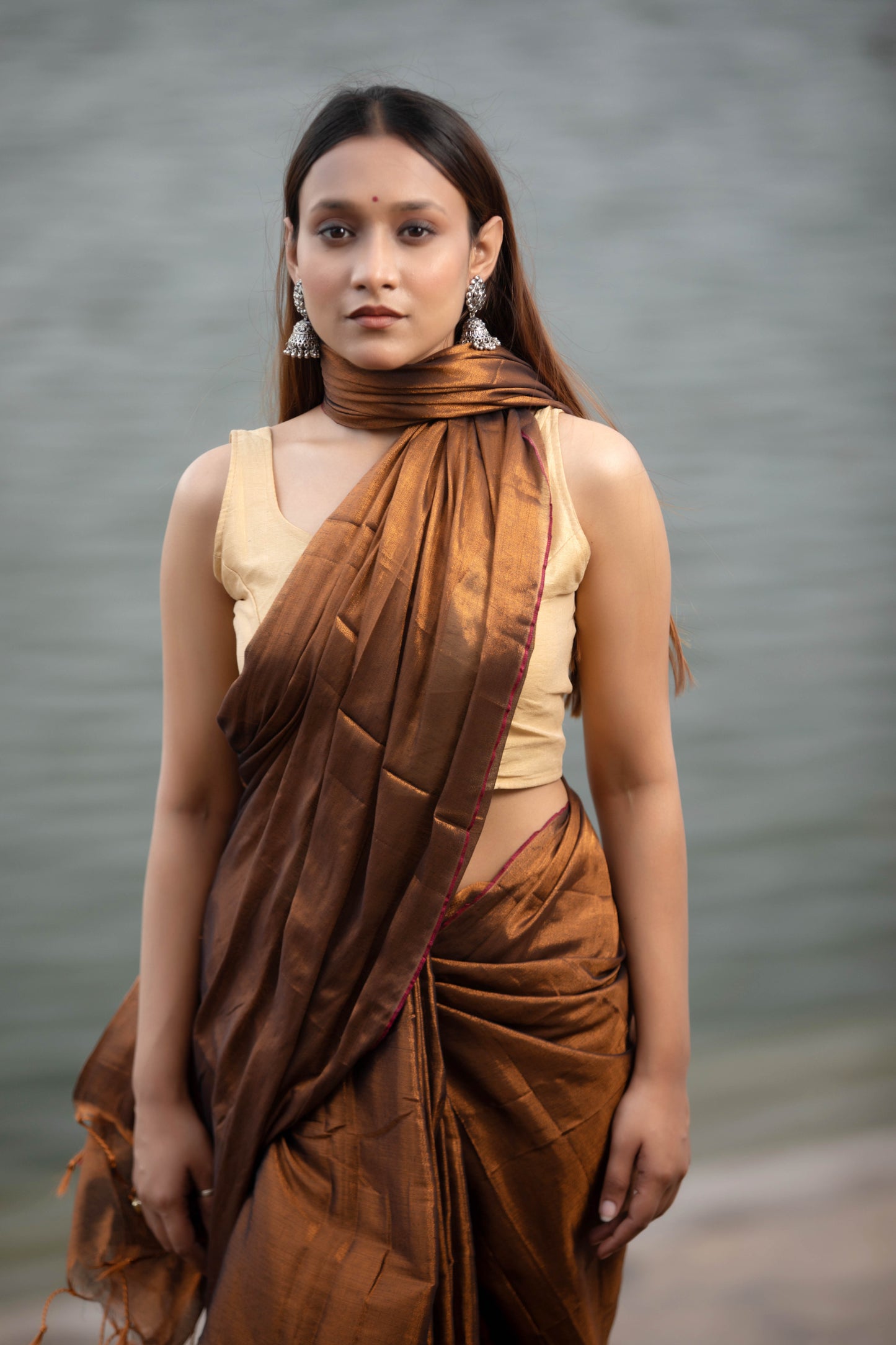 Van Dyke Brown Banarasi Silk Saree