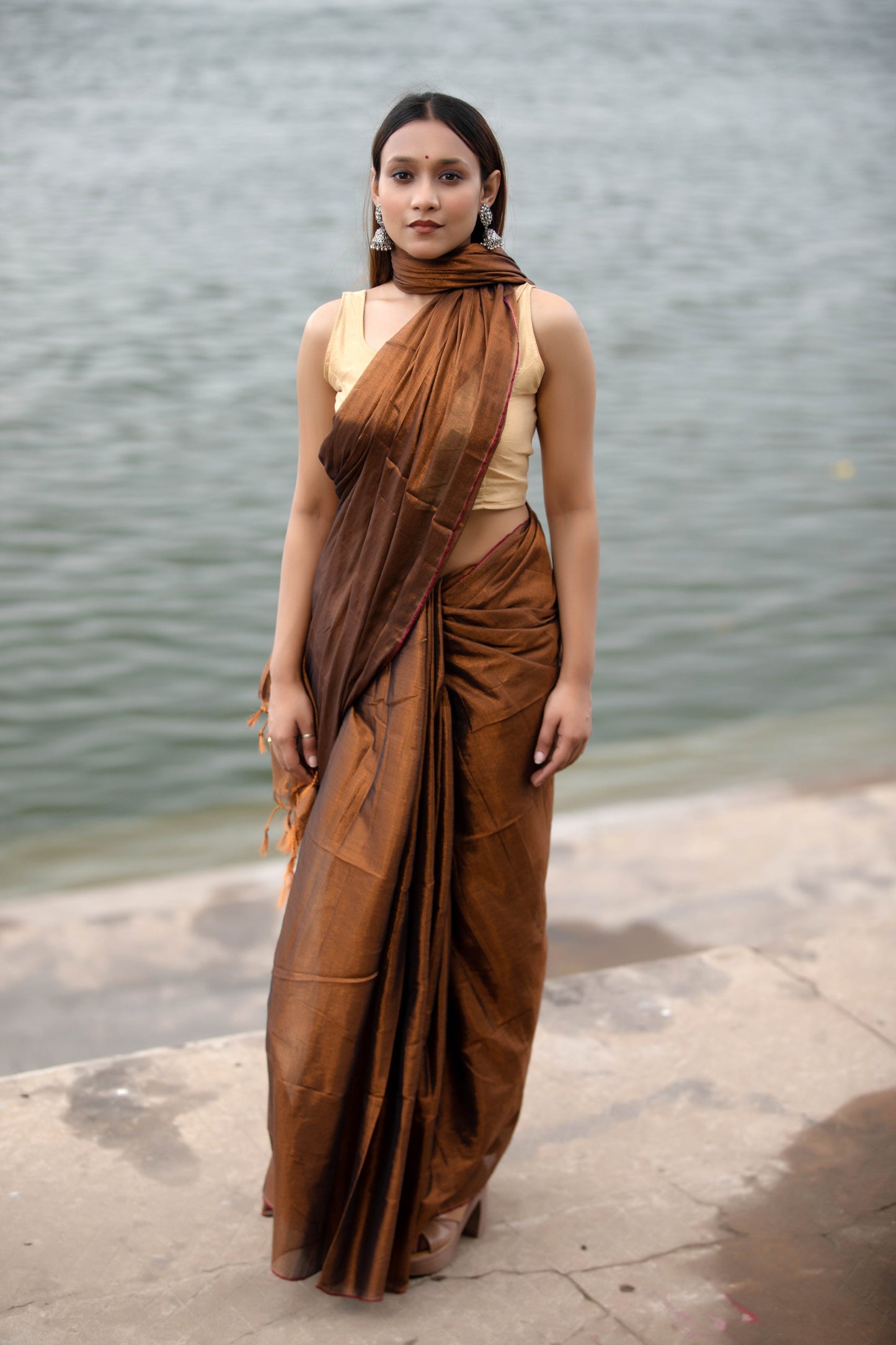 Van Dyke Brown Banarasi Silk Saree
