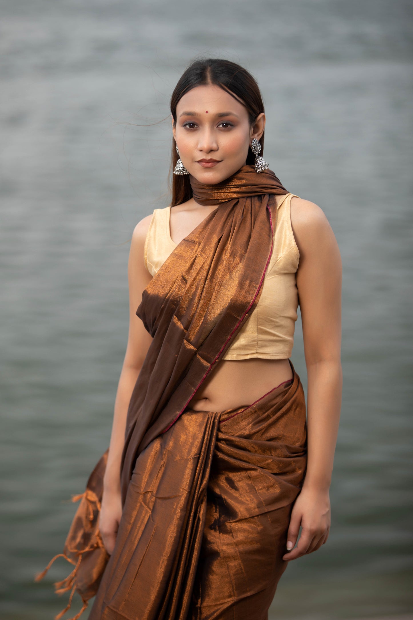 Van Dyke Brown Banarasi Silk Saree