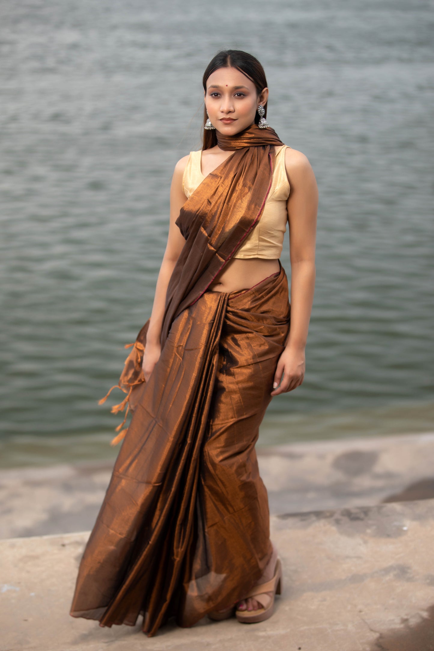Van Dyke Brown Banarasi Silk Saree