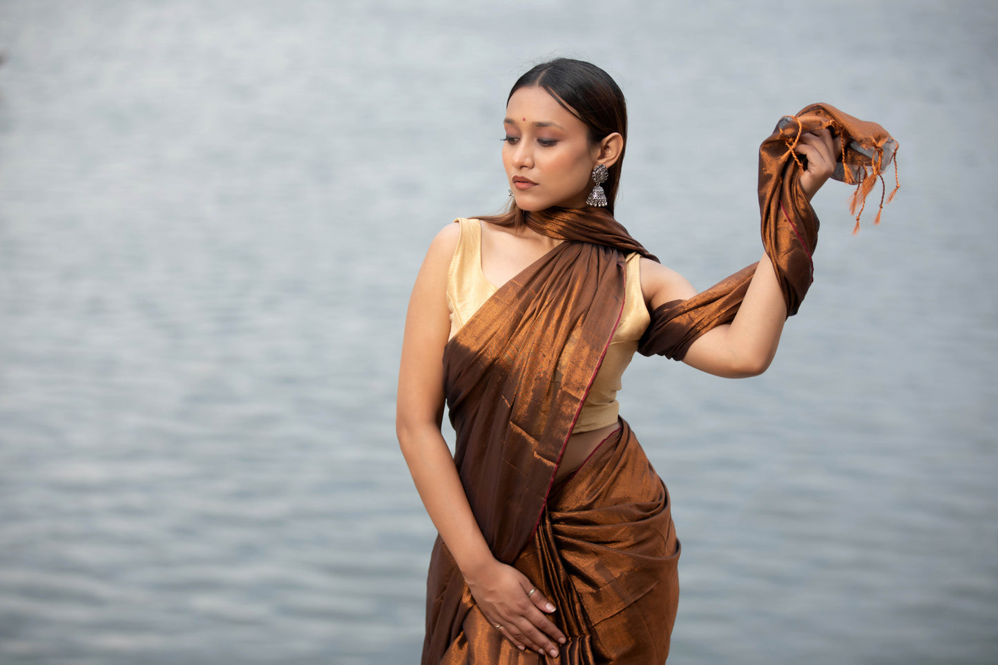 Van Dyke Brown Banarasi Silk Saree