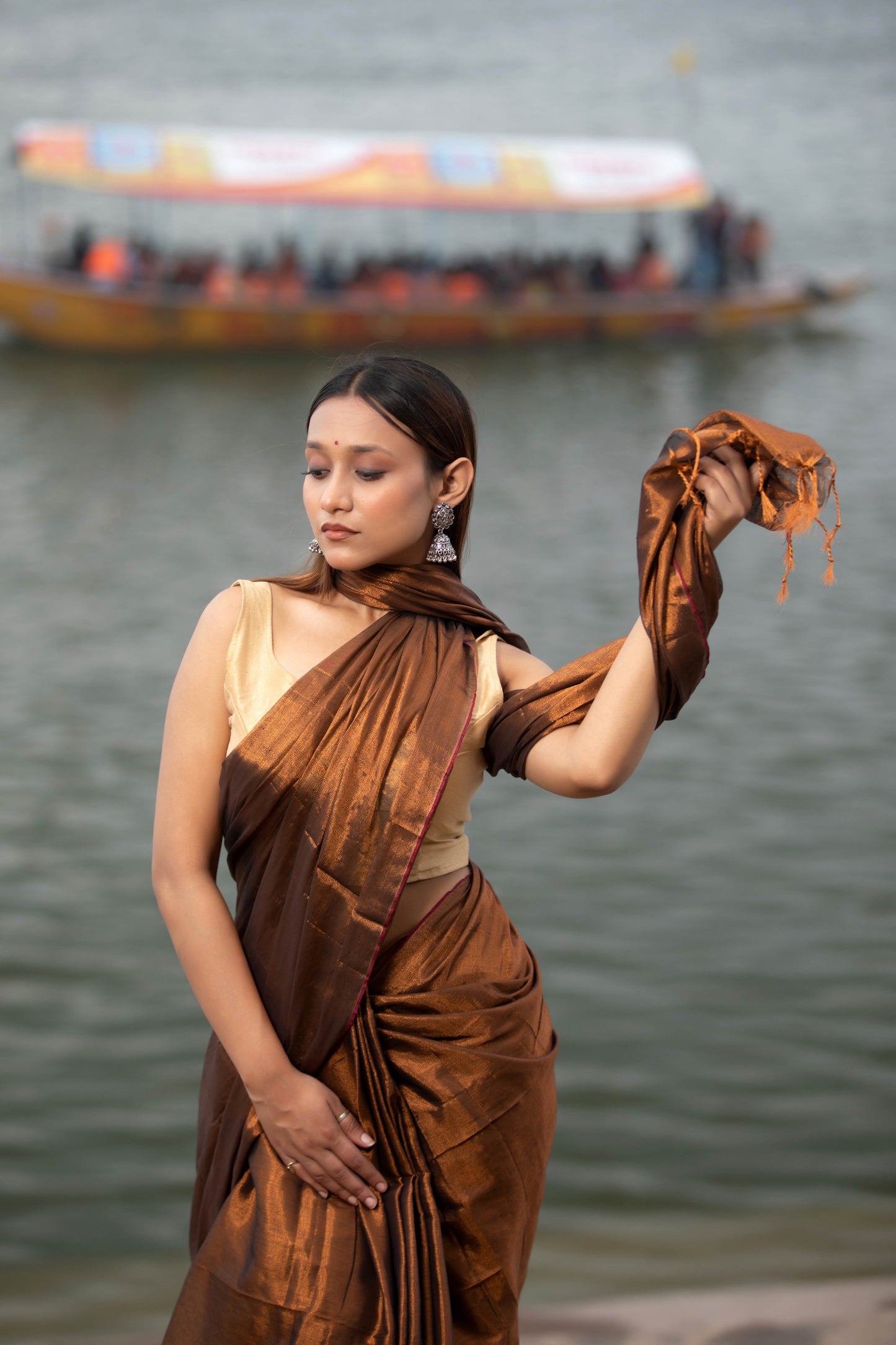 Van Dyke Brown Banarasi Silk Saree