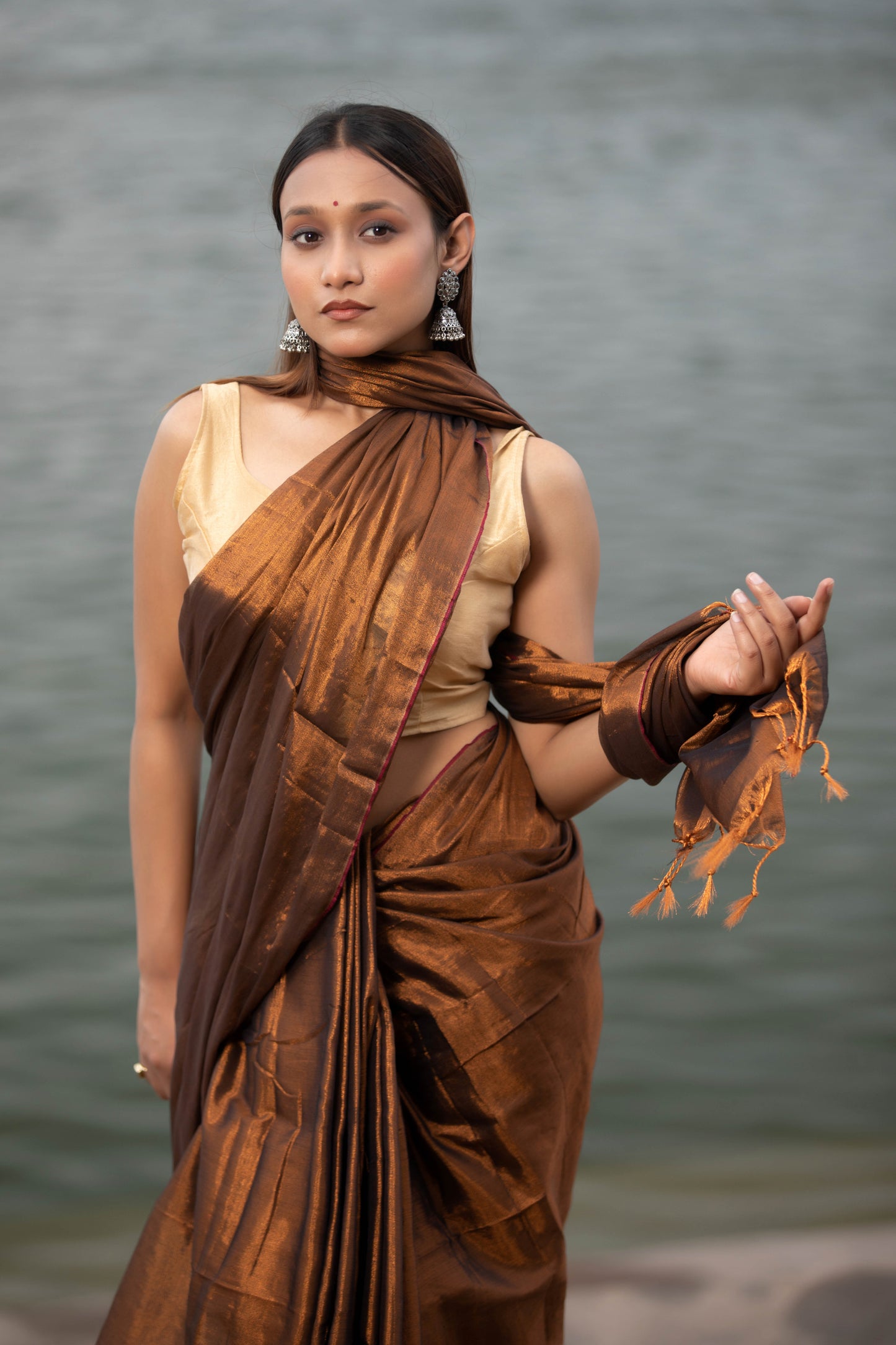 Van Dyke Brown Banarasi Silk Saree