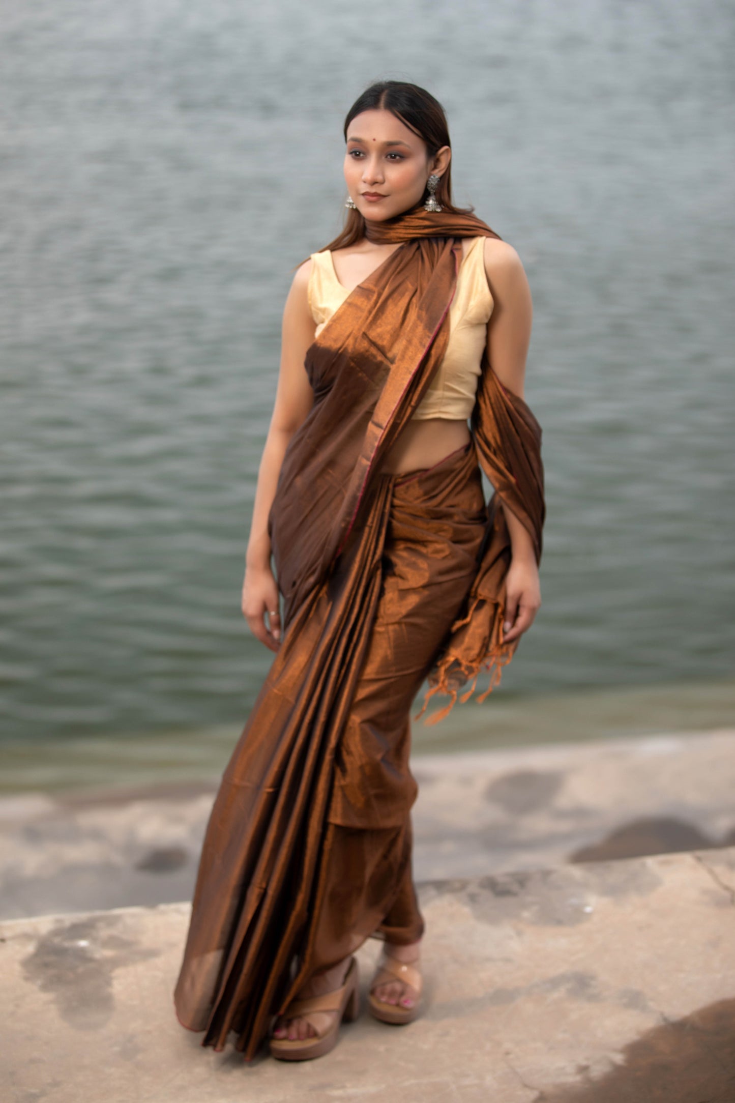 Van Dyke Brown Banarasi Silk Saree