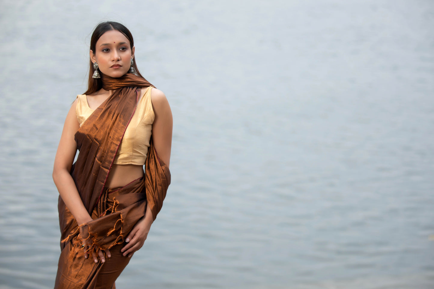 Van Dyke Brown Banarasi Silk Saree