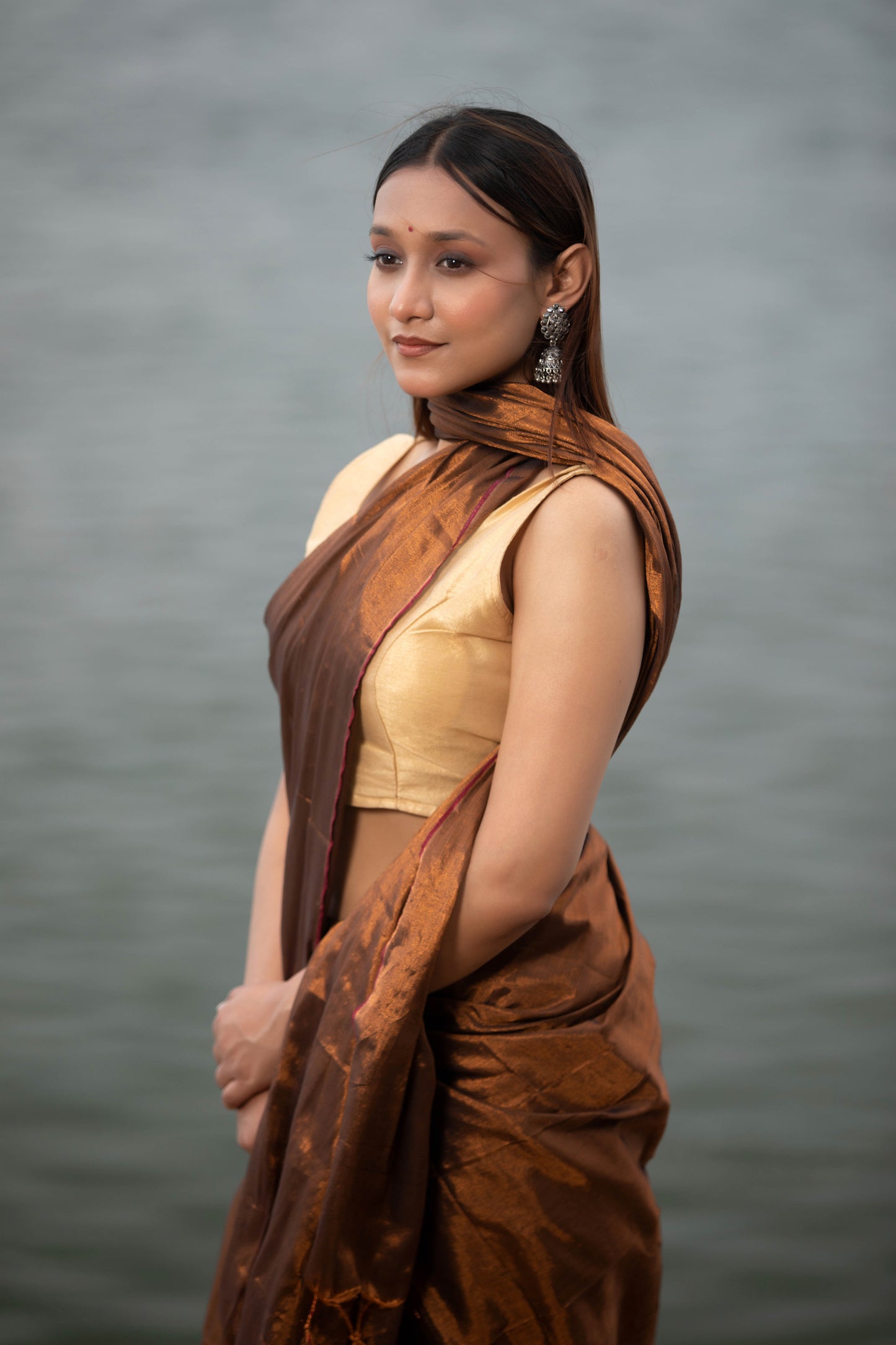 Van Dyke Brown Banarasi Silk Saree