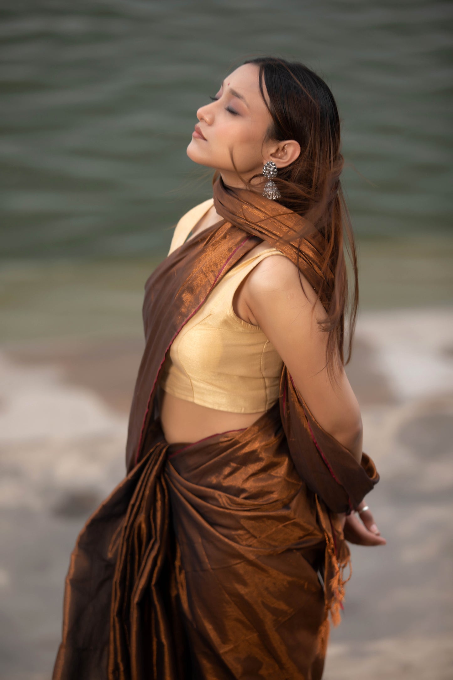Van Dyke Brown Banarasi Silk Saree