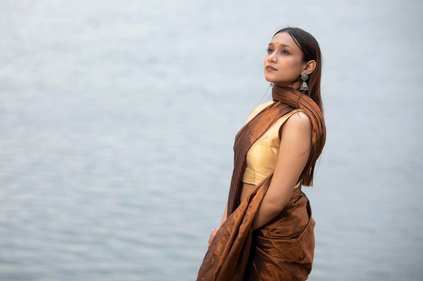 Van Dyke Brown Banarasi Silk Saree