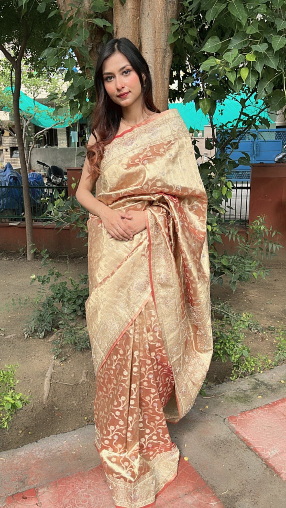 Desert Brown Saree Made In Georgette With Cut Dana And Zardosi Embroidery |  Saree, Georgette sarees, Fashion