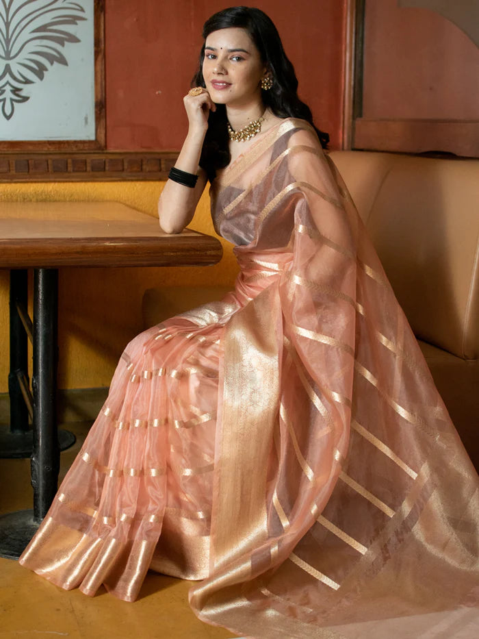 Red Stripe Golden Zari Weaving Banarasi Organza Saree