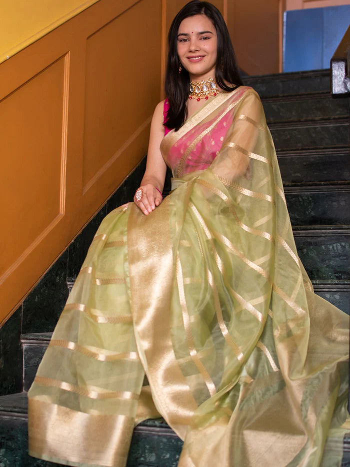 Red Stripe Golden Zari Weaving Banarasi Organza Saree